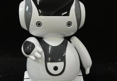service robot